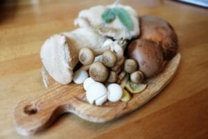 Mushroom Benefits
