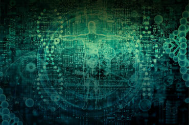 Alpha-Ketoglutarate (AKG) Benefits