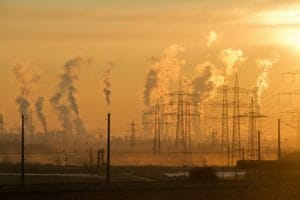 Foods That Combat Air Pollution