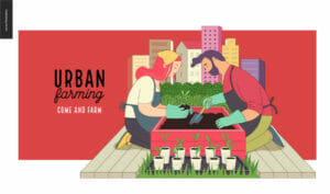 Urban Farming And Gardening image