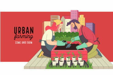 Urban Farming And Gardening image