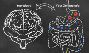 Mood And Gut Bacteria
